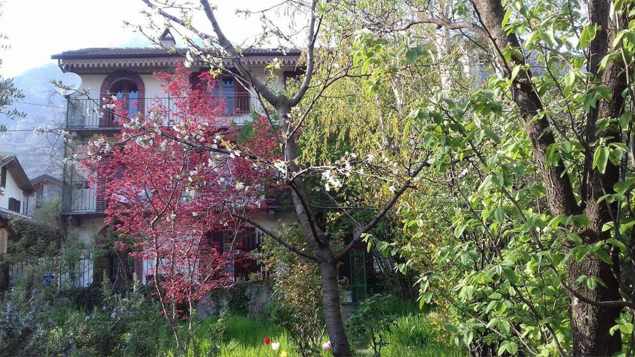 Il Giardino Dei Merli Bussoleno Exterior foto